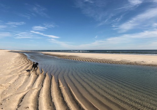 Exploring the Best Beaches in Suffolk County, NY