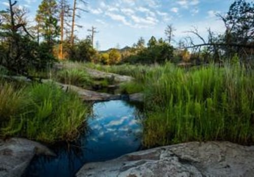 Exploring Green Living Communities in Suffolk County, NY